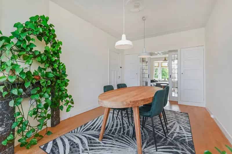 Appartement te koop Den Haag Vruchtenbuurt 4 slaapkamers dakterras