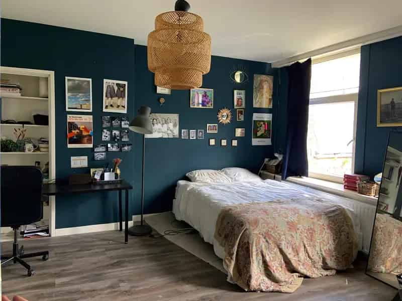 Kamer Delft: Meisjes alleen, grote tuin, balkon, nabij station