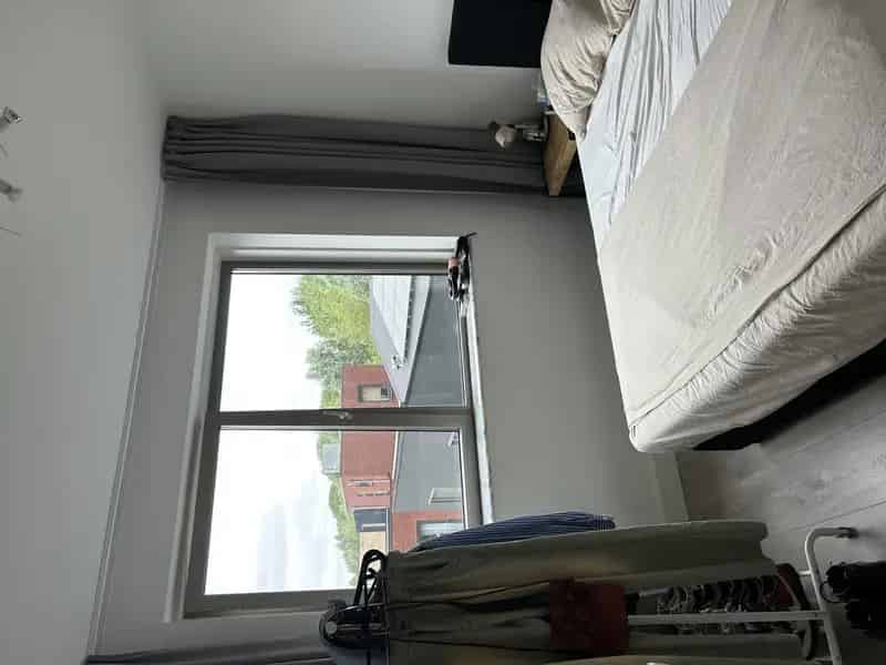 Kamer Amsterdam Noord Augustus Korte Termijn