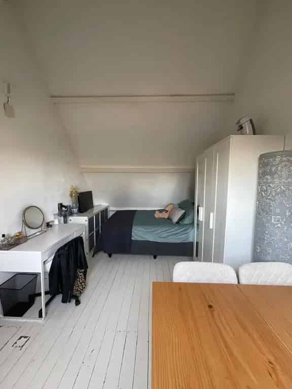 Kamer te huur Rosendaalsestraat Arnhem 17m²