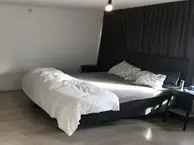 Appartement Veghel 4 slaapkamers 2 badkamers Dakterras