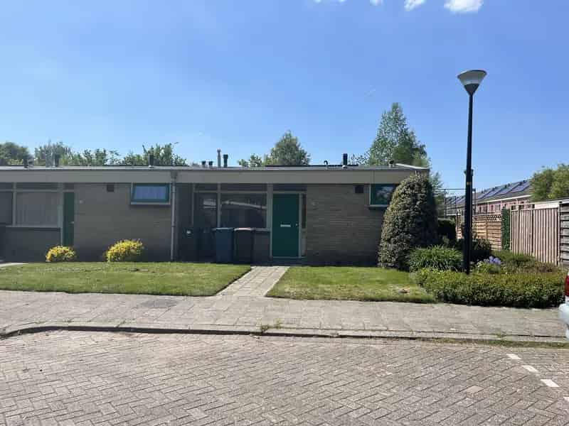 Appartement te huur: Schilderen, behangen en tuinonderhoud