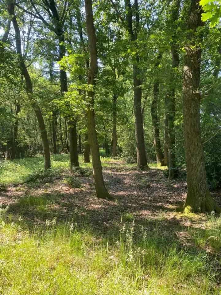 Bouwkavel Kootwijkerzand: Villa bouwen met vergunning