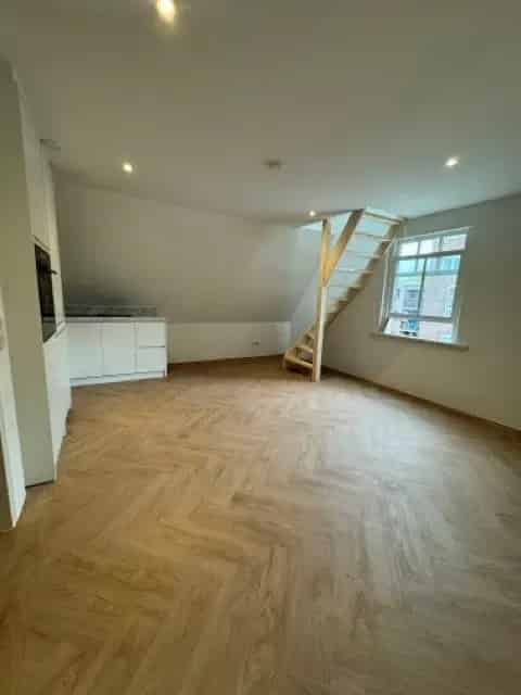 Te Huur: Appartement Tamboerstraat 11 Rotterdam