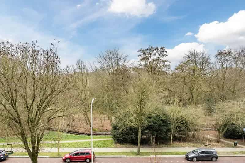 Appartement te koop Benoordenhout 140m2  Park Clingendael