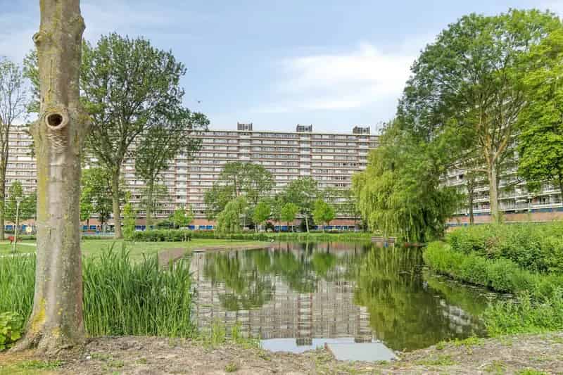 Moderne Studio Rotterdam Skyline Uitzicht