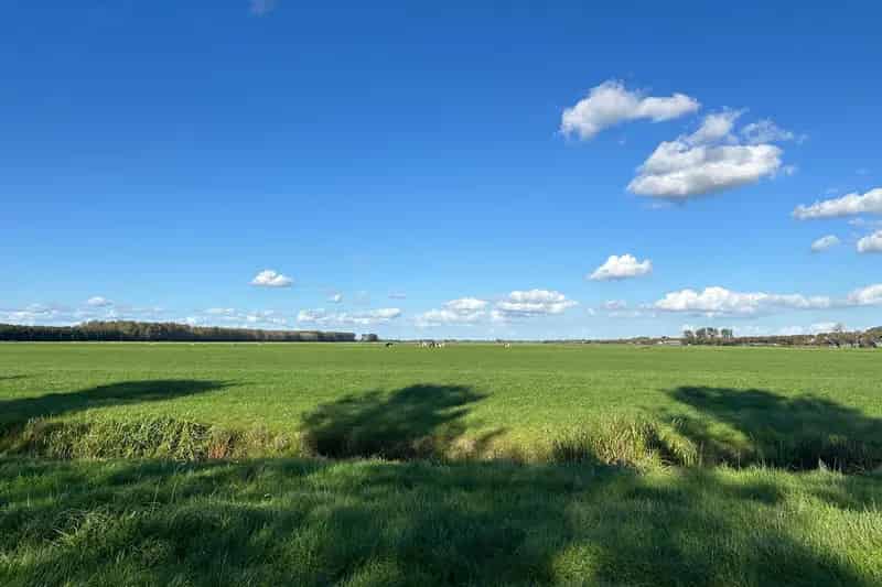 Hobbyweide te koop Purmer 6230m²