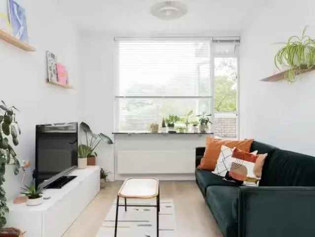 4 Kamer Appartement Oud West Amsterdam Kinkerstraat Dakterras