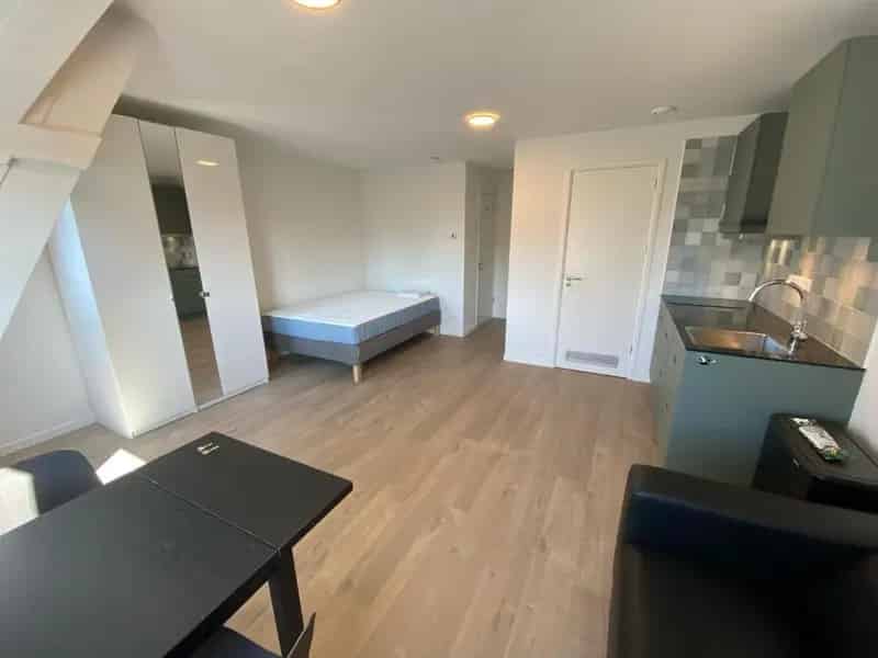 Gerenoveerde Studio Oud Zuid Pijp 3 maanden Studenten Stagairs