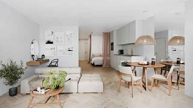 Studio Amsterdam 46m2 2023