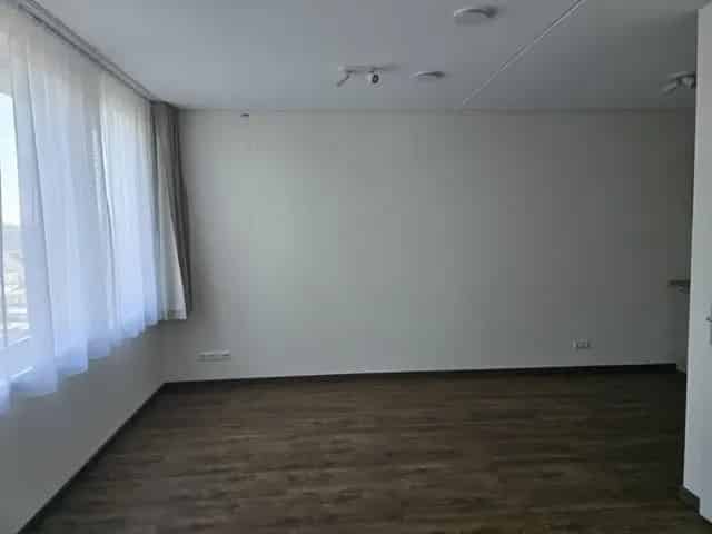 Studio Tilburg Atelierstraat 33m2 te huur 2025