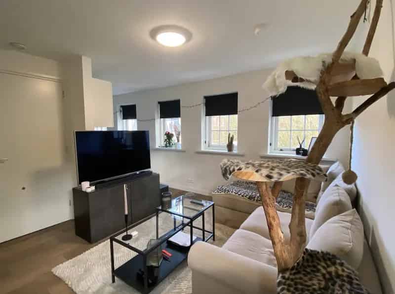 Appartement te huur Nieuwe Boteringestraat Groningen