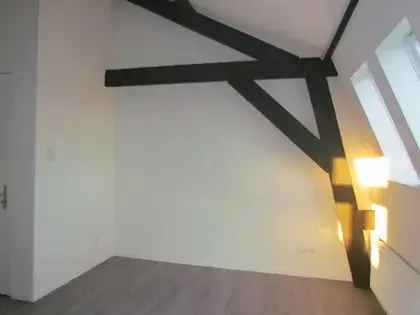 1 Kamer Appartement 42m2 Weert Centrum Modern Gerenoveerd