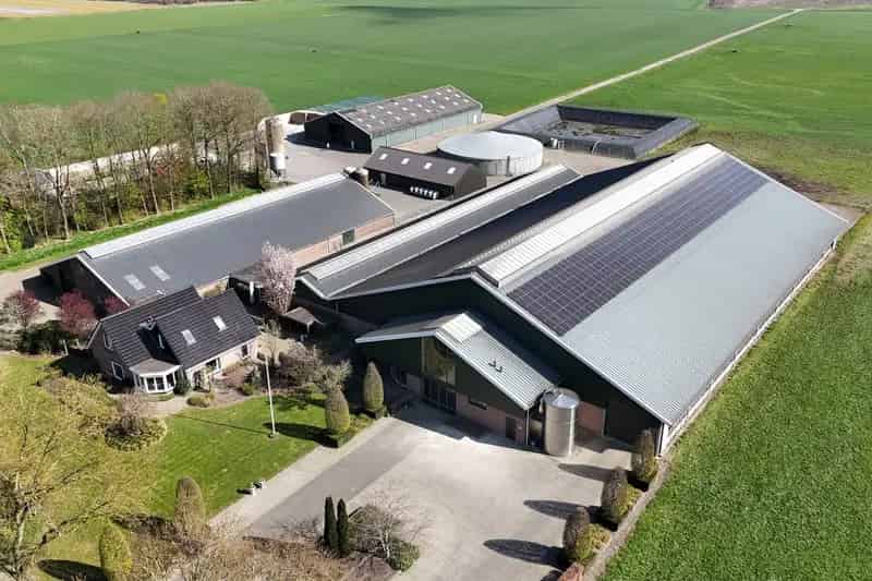 Modern Melkveebedrijf te Koop Elp 89 hectare 270 GVE