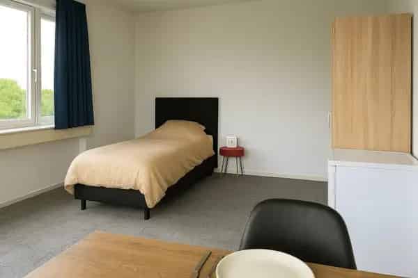 Studenten Studio's Rijswijk Nabij Delft