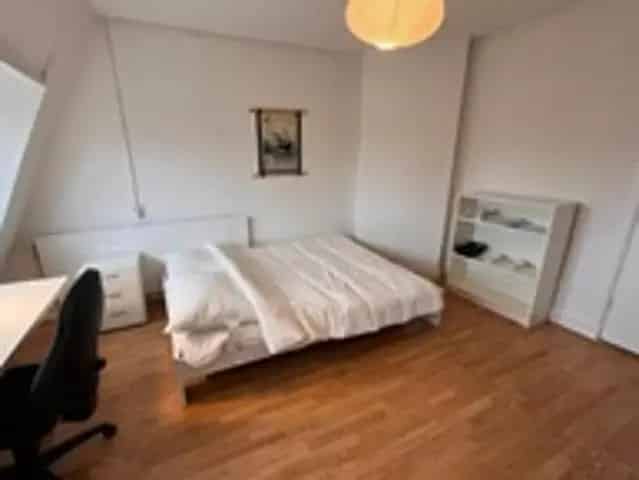 Kamer Nijmegen Heydenrijckstraat 16m2