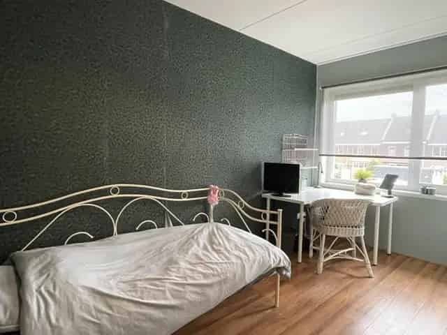 Te huur: Eengezinswoning 4 kamers 130m2 Meppel