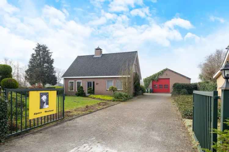 Vrijstaande Semibungalow Oudenbosch 11522m2 Cultuurgrond