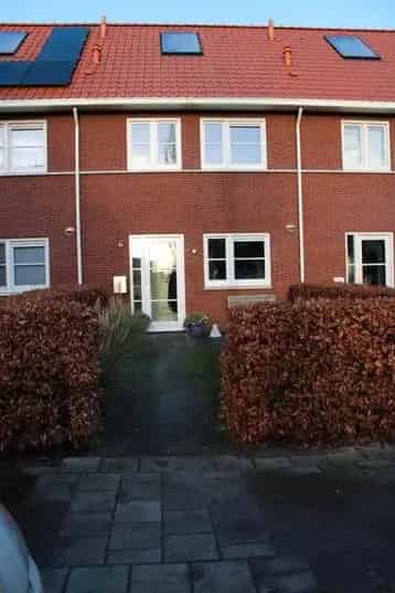 Te Huur 4 Kamer Huis Orchidee Luttelgeest