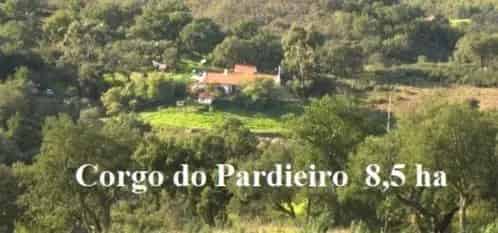 Te Koop: Prachtige Monte Portuguesa in Alentejo