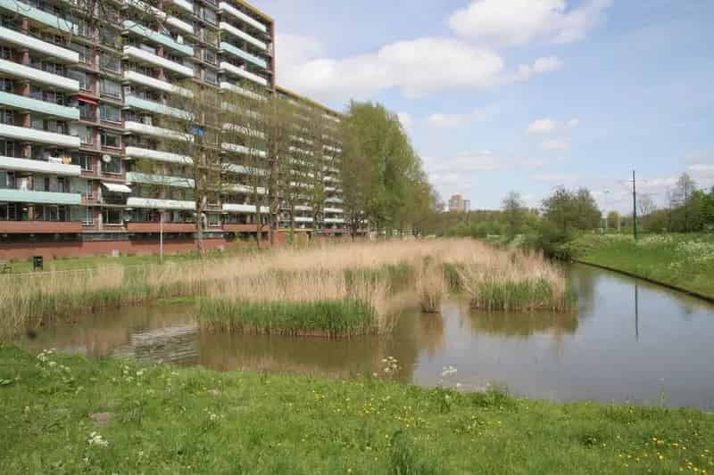 4 Kamer Appartement Steenvoorde Zuid Rijswijk