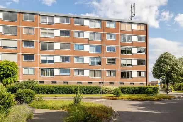 Ruim 3 Kamer Appartement IJpelaar Breda