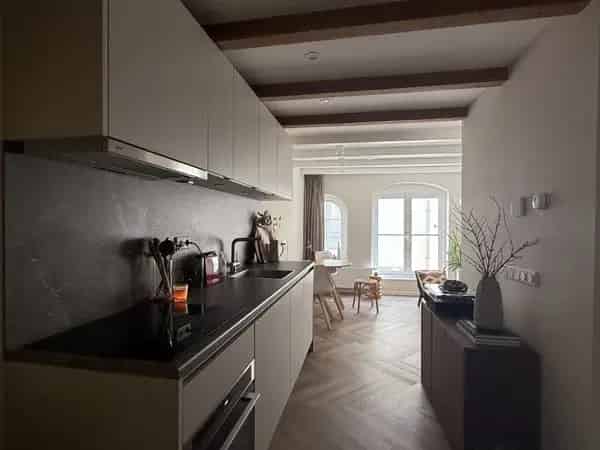 Luxe Maisonnette Deventer Centrum 2024 Gerenoveerd