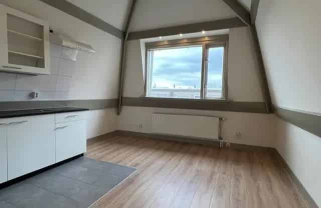 Studio Dordrecht 19m2 1 kamer 1908