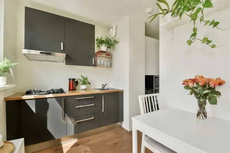 Appartement Amsterdam Jordaan: 2 Kamer, Dakterras, Berging