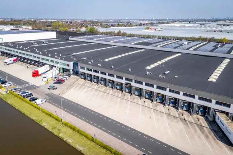 Bedrijfshal Honselersdijk | Zoek bedrijfshallen te koop: Venus 333 2675 LP Honselersdijk 
