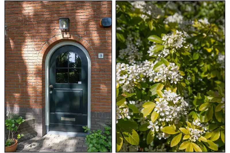 Moderne Villa te koop Huizen: Ruime woning met guesthouse en tuin