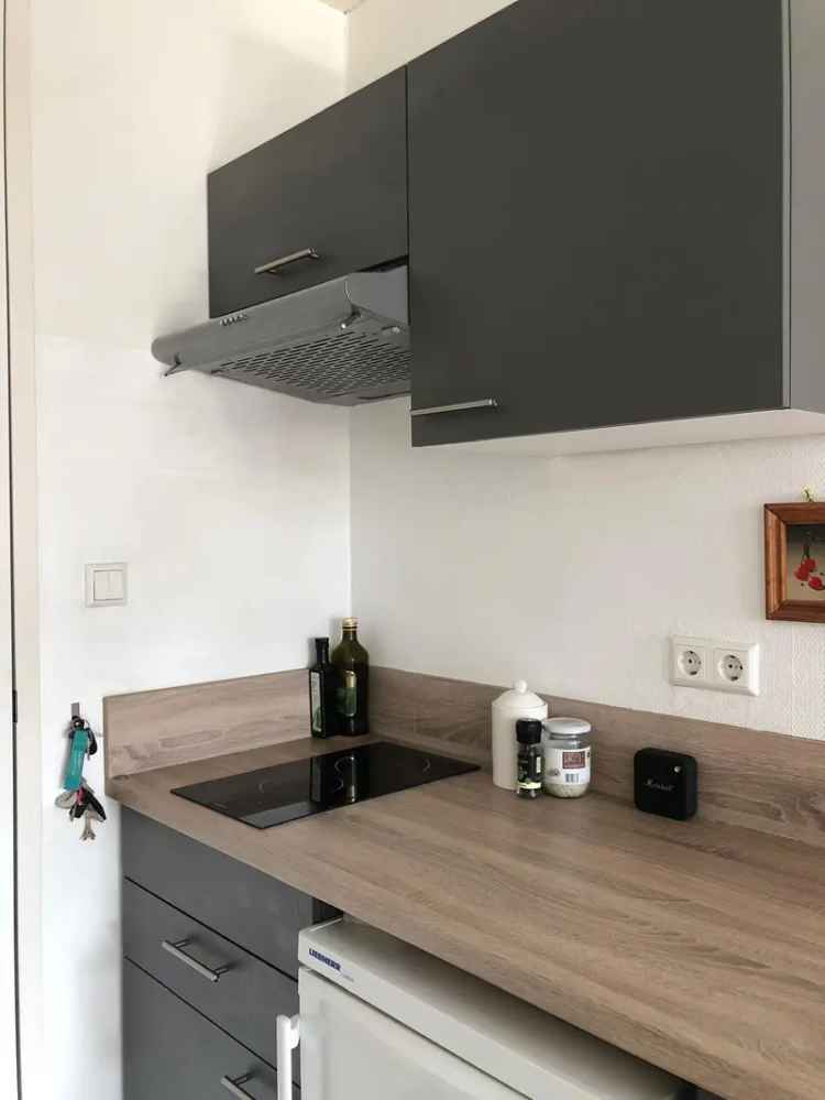 Gemeubileerd Studio Appartement te Huur Zomer 2025
