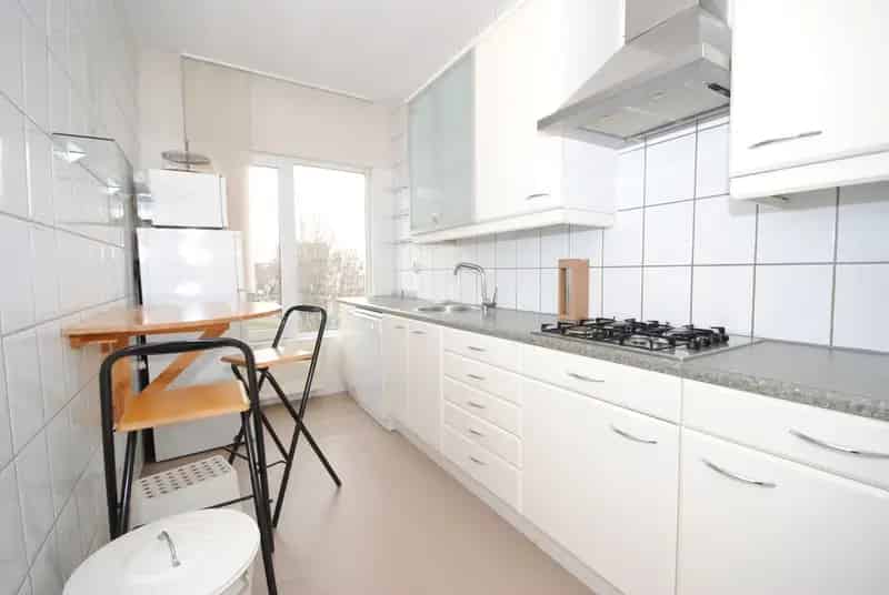 3 Kamer Appartement Statenkwartier Ruim Dakterras