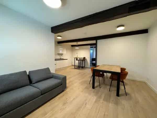 Appartement Kleine Looiersstraat Maastricht