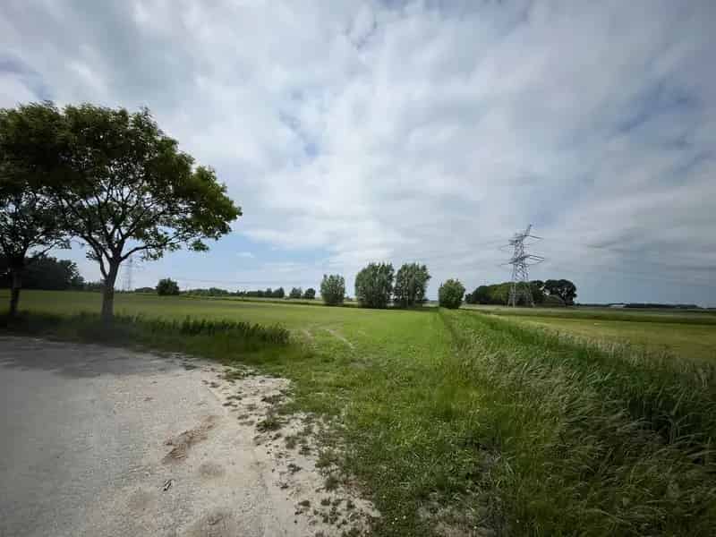 Agrarische Grond Halsteren 7775m² Te Koop Sint Ignatiusdijk