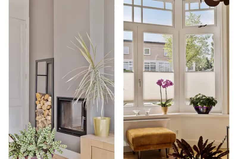 Luxe 3-laags benedenhuis Watergraafsmeer 186m2 tuin