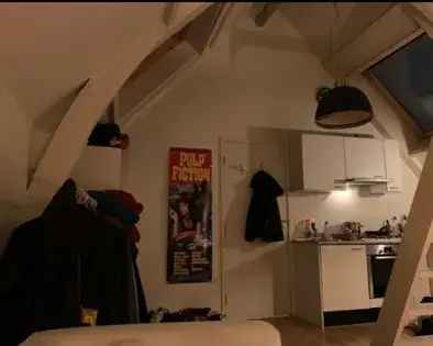 55m² Studio Amsterdam Centrum - Dam 3 minuten lopen