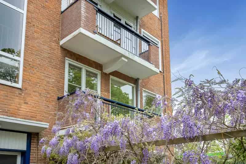 3 Kamer Hoekappartement Driebergen 63m2 2 Balkons