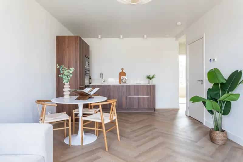 3-Kamerappartement Statenkwartier  Gerenoveerd  Energielabel A+