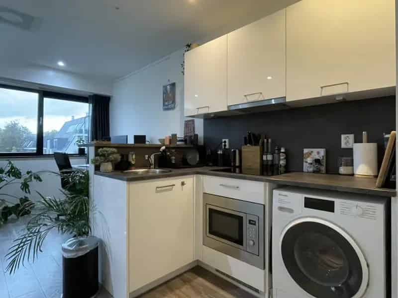 Studio Houten