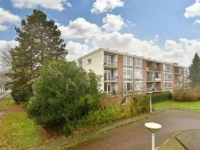 Ruim 4 Kamer Appartement Buitenveldert 67m2 Balkon Nabij Zuidas