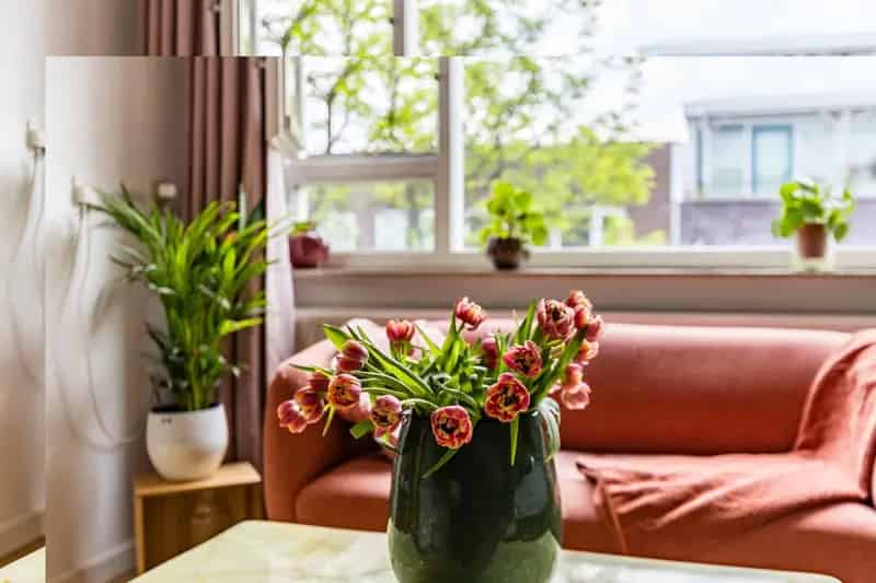 Amsterdam Oost Studio te Koop Perfecte Starterwoning