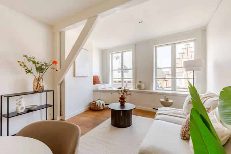 Te Koop: 2-Kamer Appartement Haarlem Centrum - Dakterras