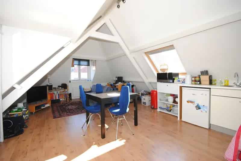 2 Kamer Appartement Den Haag gerenoveerd 41m2