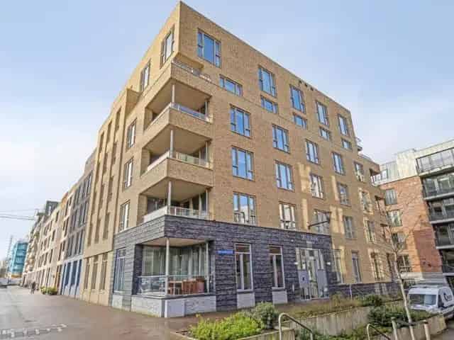 Te Huur: Nieuwbouw Appartementen De Delvenaer Delft