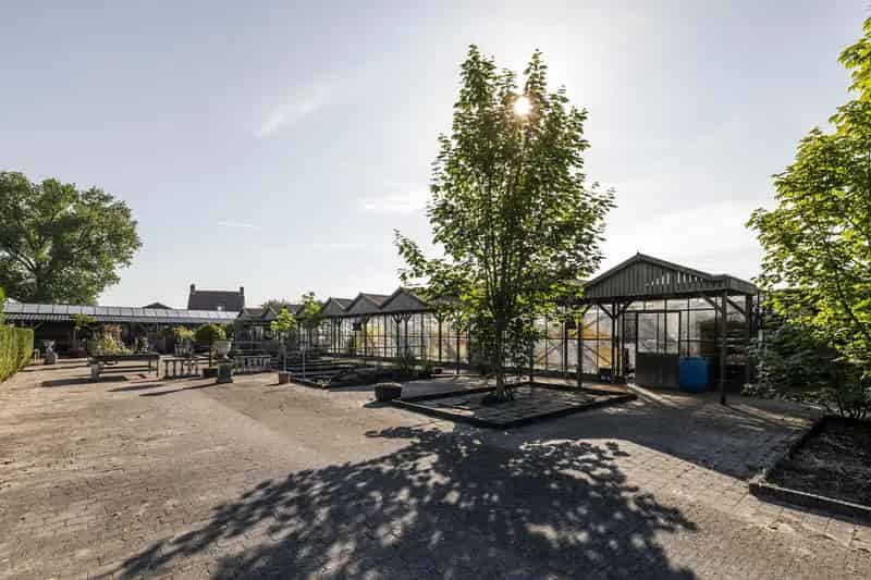 Bedrijfswoning met kassencomplex en Perceel te koop
