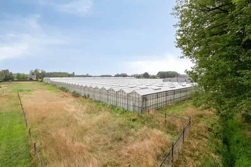 Agrarisch bedrijf Venlo | Zoek agrarische bedrijven te koop: Hoverhofweg 181 5926 RC Venlo 