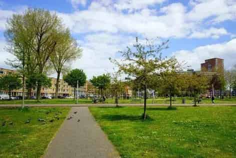 2 Kamer Appartement 81m2 Rotterdam Zuid Nabij Zuidplein
