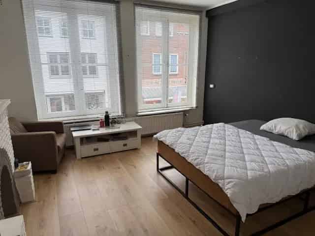 Kamer Centrum Tiel - Ruime kamer met dakterras