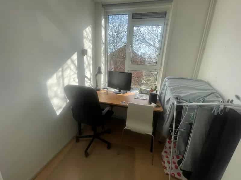 Groningen Paddepoel: Twee Kamer Woning nabij Zernike